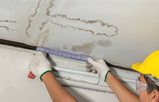 Reliable Mold Remediation contractor in Clovis, NM by Water Damage Irwin